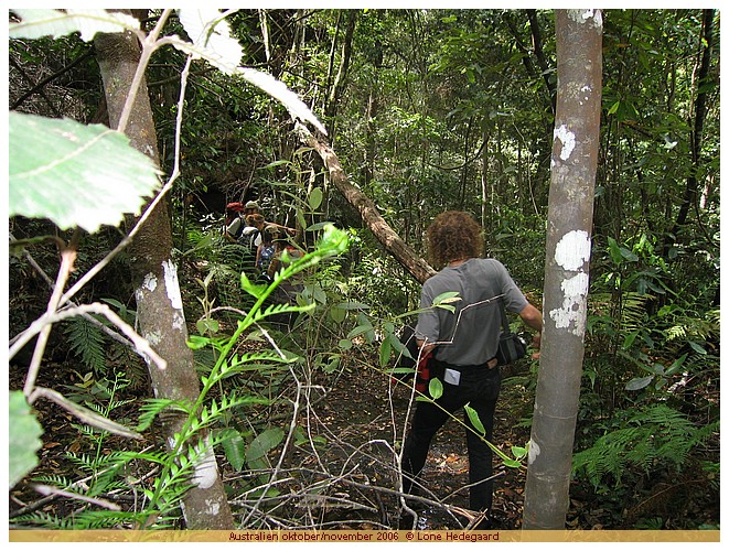 Klik p billedet for at g til det nste foto! IMG_2409 Australien oktober/november 2006 * Fotos: Lone Hedegaard