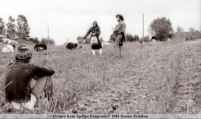 Pictures from Sydfyn  Hanno Krusken Tuen-1984.jpg