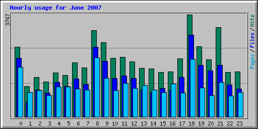 Hourly usage for June 2007