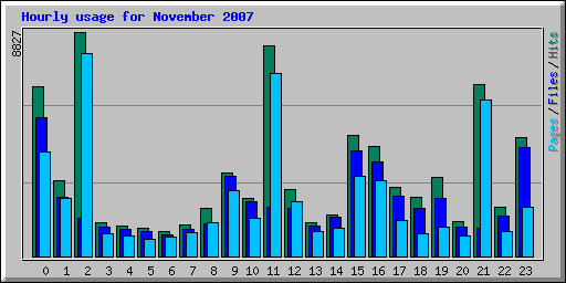 Hourly usage for November 2007