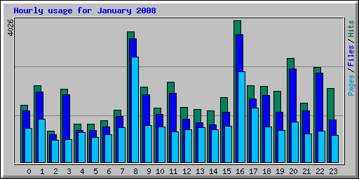 Hourly usage for January 2008