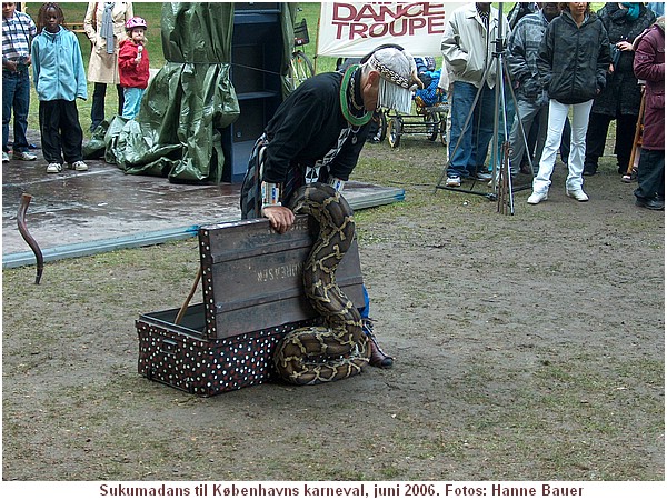 Karneval i Kbenhavn Pinsen 2006. HPIM2237.JPG